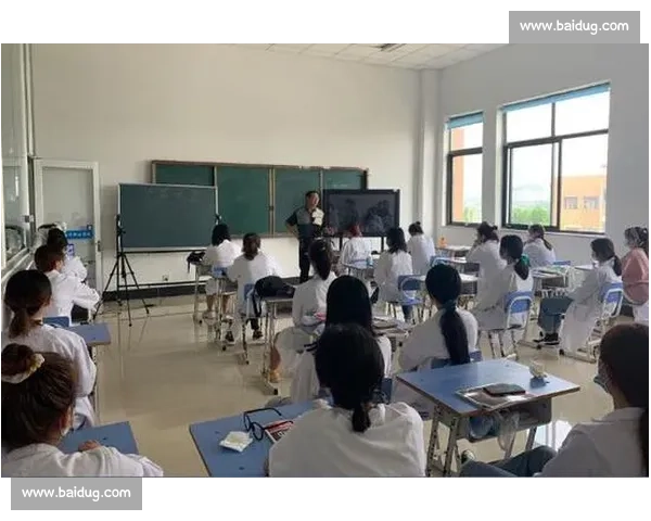 提升大学生综合能力的就业力创新挑战赛方案探索