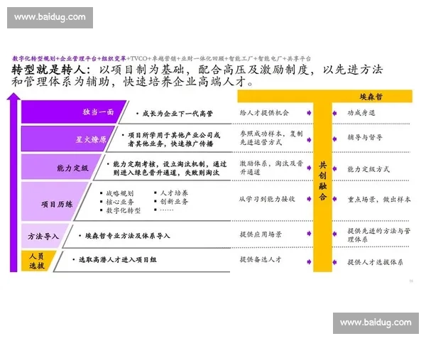 企业投资管理优化策略与实践路径探索分析