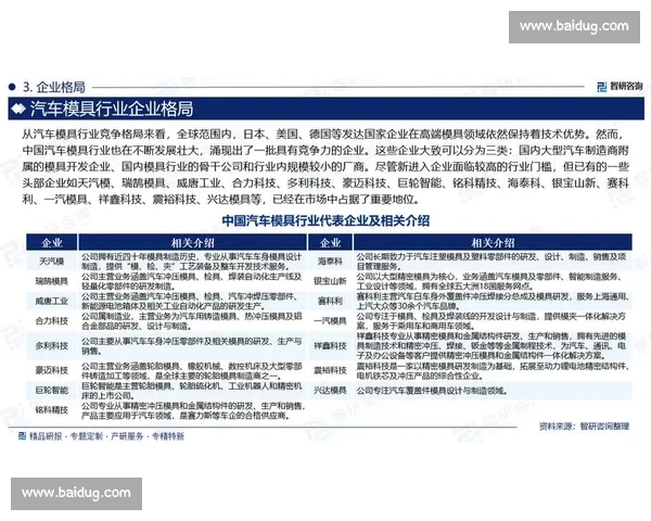 企业行业领先地位与市场竞争力全面解析与发展策略