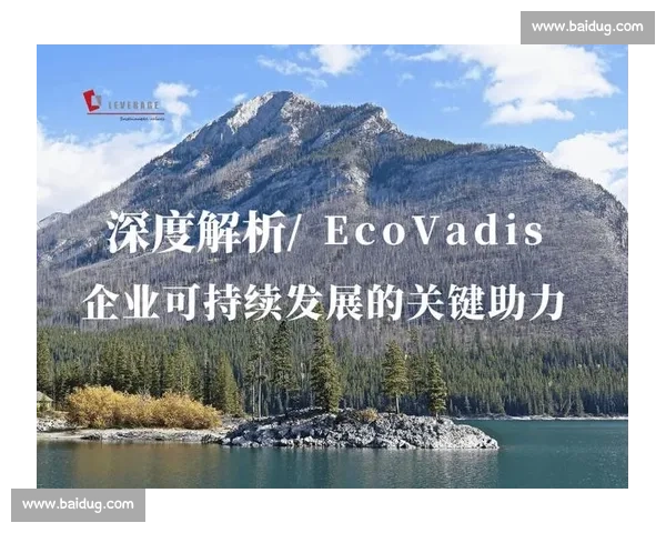 企业社会影响力提升策略及可持续发展实践研究