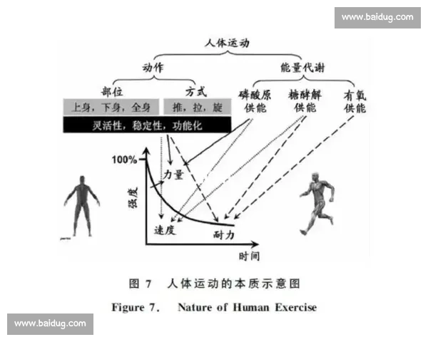 提升运动表现的体育动作规范与训练方法全解析
